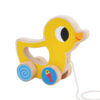 Montessori Toys Animal  Bird Shape wooden Pull Along Toy