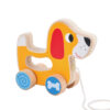 Montessori Toys Animal  Bird Shape wooden Pull Along Toy