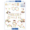 50 PCS magical practicical abilities training construction blocks funny bricks toys
