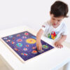 Montessori Educational Wooden Intelligent Wood Space Theme Shaped Peg Puzzle Toy