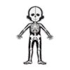 Body System Magnet Board Educational Human Body Game 