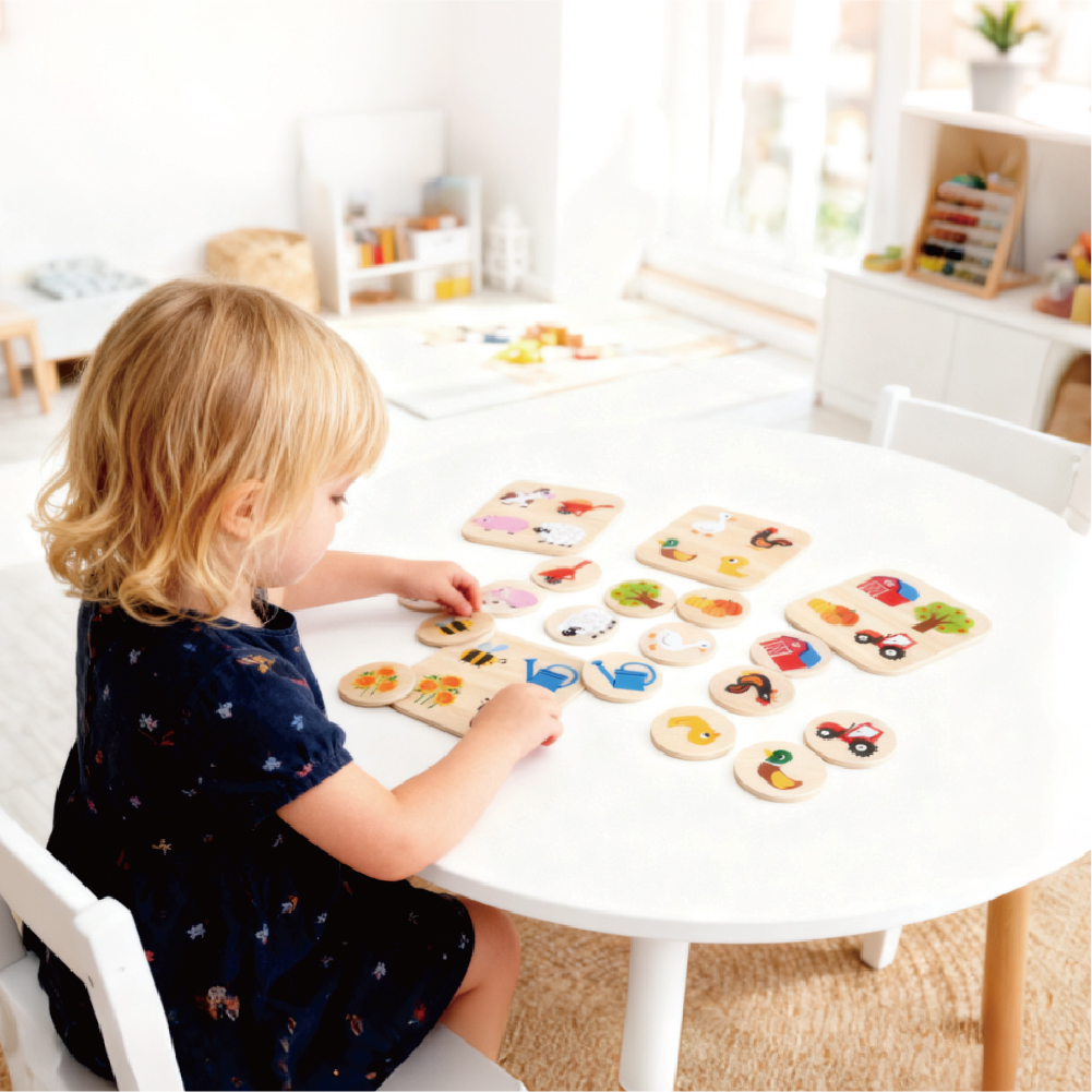 Farm Memo Game Educational Puzzle Toy Montessori Early Learning