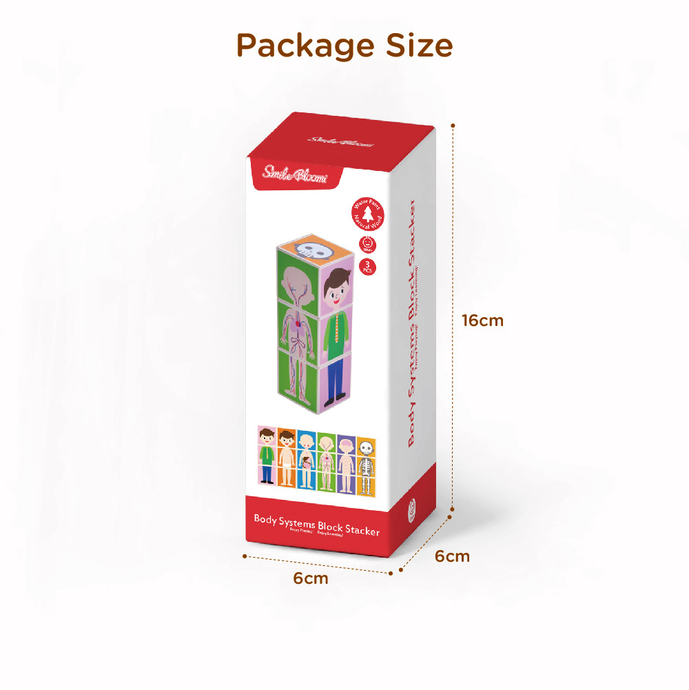 Body Block Stacker - Image 5